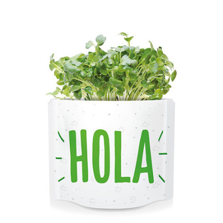 Postales verdes de semillas Garden Pocket