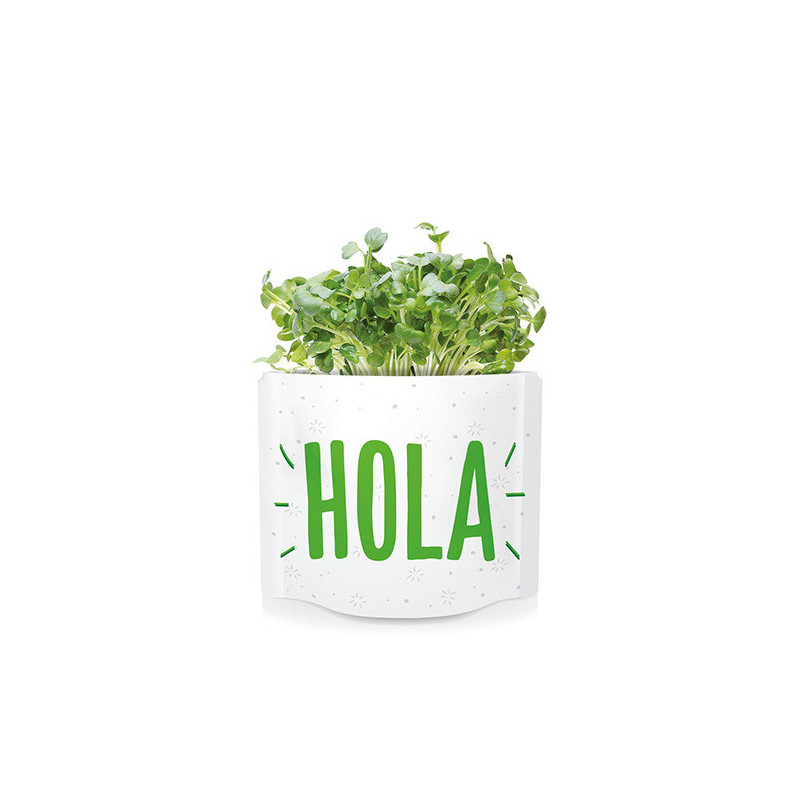 Postales verdes de semillas Garden Pocket