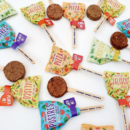 Lollipop de semillas Garden Pocket