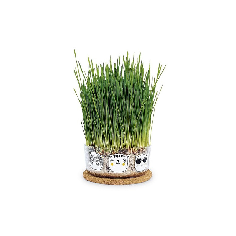 Hierba gatera Garden Pocket