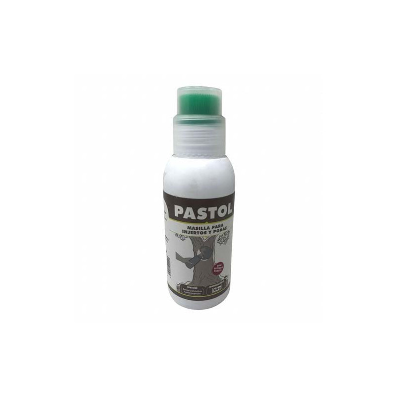 Pasta cicatrizante Pastol 250 gr Massó