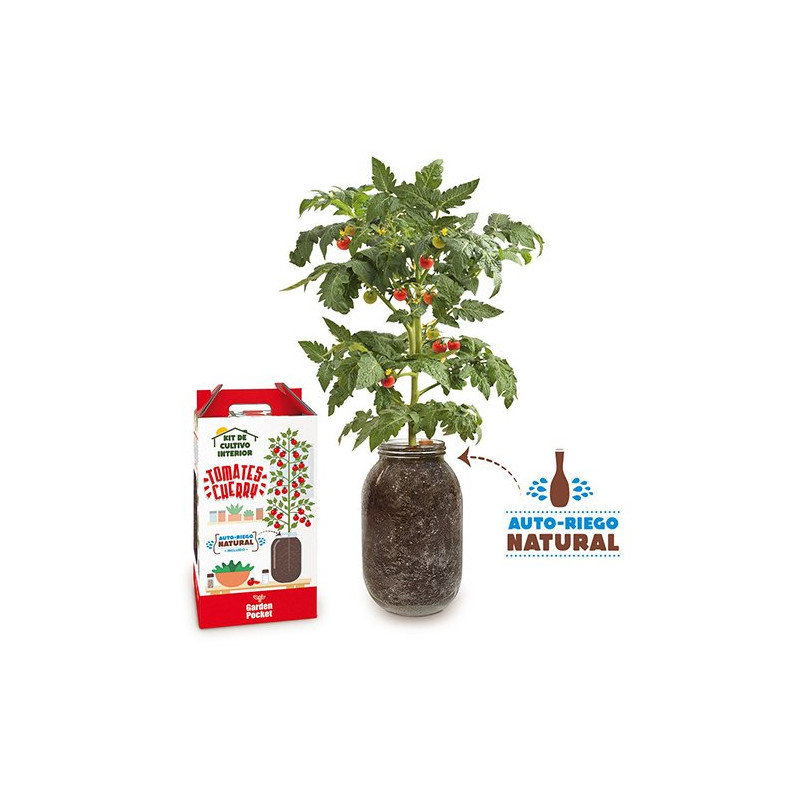 Kit de cultivo interior tomate cherry Garden Pocket