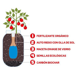 Kit de cultivo interior tomate cherry Garden Pocket