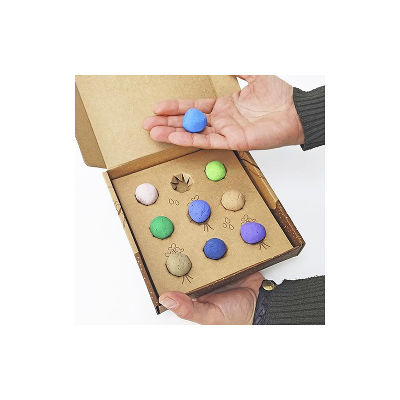 Bombas de semillas Garden Pocket