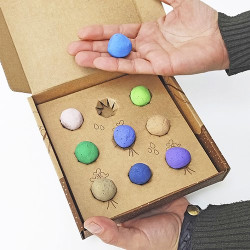 Bombas de semillas Garden Pocket