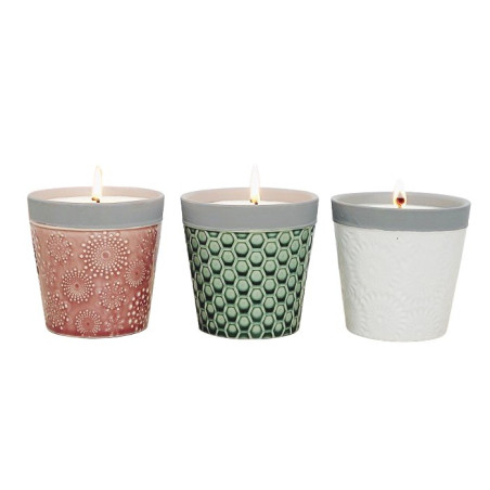 Velas con raíces Garden Pocket