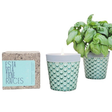 Velas con raíces Garden Pocket