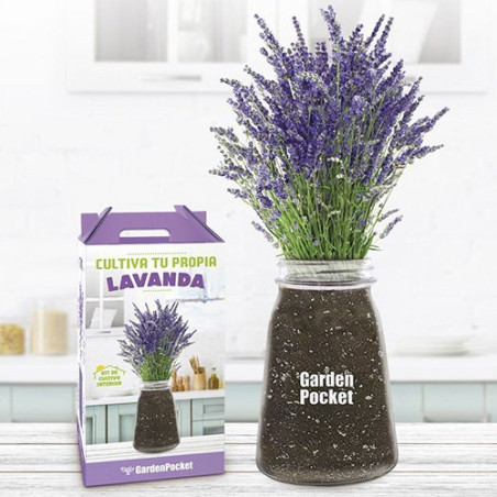 Kit de cultivo interior lavanda Garden Pocket