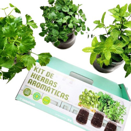 Kit de cultivo hierbas aromáticas Garden Pocket
