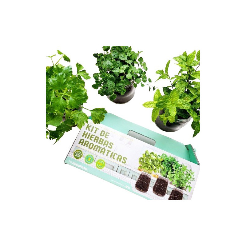 Kit de cultivo hierbas aromáticas Garden Pocket