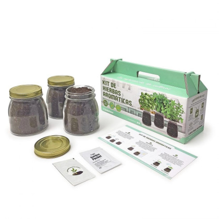 Kit de cultivo hierbas aromáticas Garden Pocket