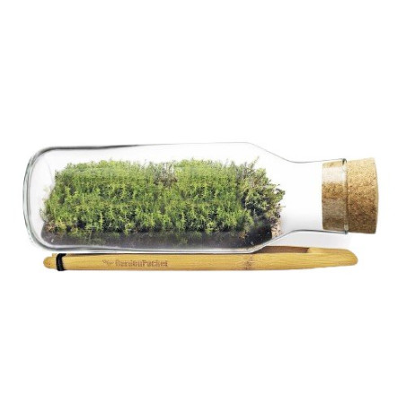 Mossarium de Garden Pocket